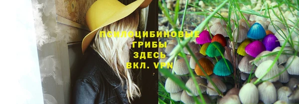 твердый Абинск