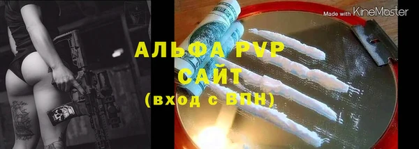 прущие грибы Приозерск