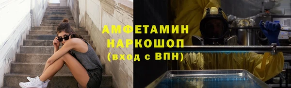прущие грибы Приозерск