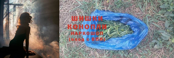 прущие грибы Приозерск