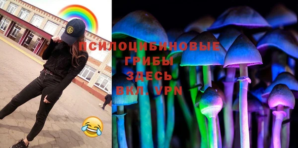 соль ск Протвино