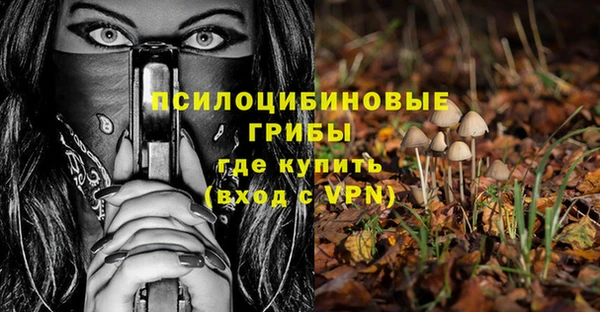 шишки Алзамай
