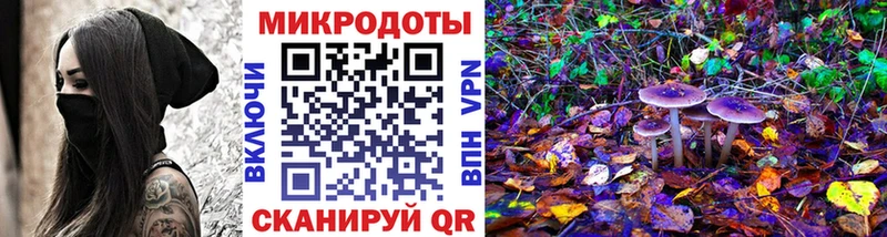 blacksprut зеркало  Ряжск  Псилоцибиновые грибы мицелий 